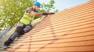 Best Roof Ventilation Installation  in Afton, MN