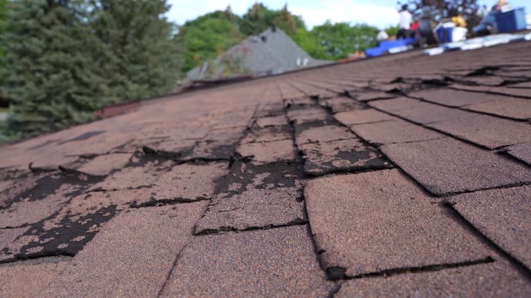 Best Hot Roofs  in Afton, MN