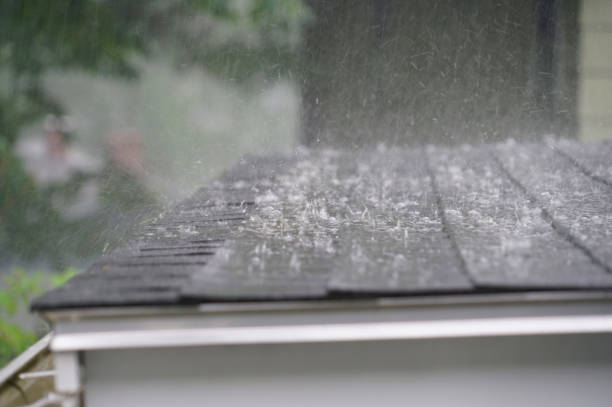 Best Asphalt Shingle Roofing  in Afton, MN