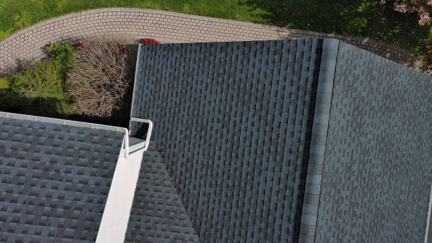 Best Flat Roofing  in Afton, MN