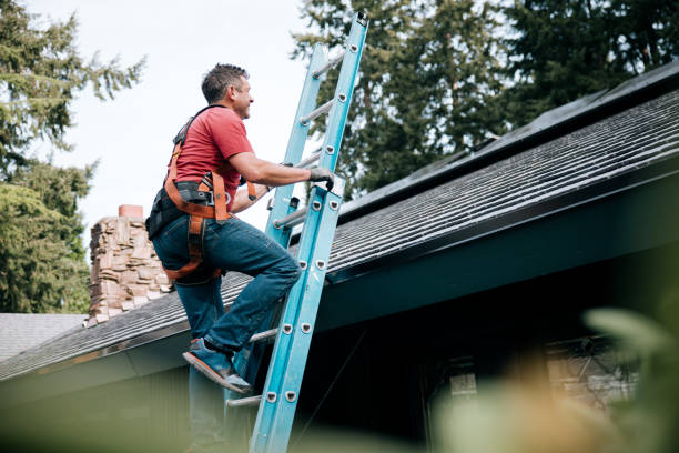 Best Skylights  in Afton, MN