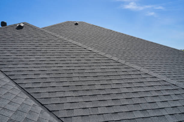 Best Steel Roofing  in Afton, MN