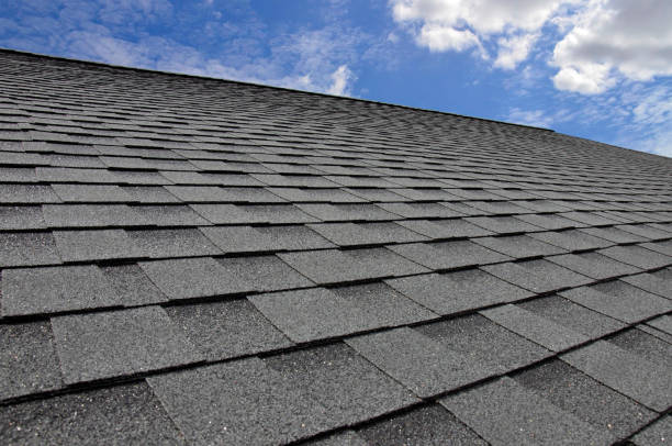 Best Roof Insulation Installation  in Afton, MN
