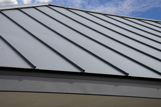 Best Roof Moss and Algae Removal  in Afton, MN