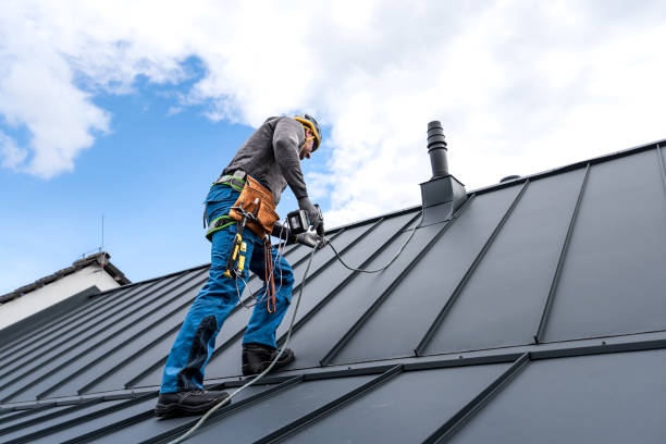 Best Solar Panel Roofing Installation  in Afton, MN